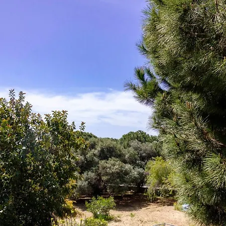 Pirandello - Margherita Agrigento
