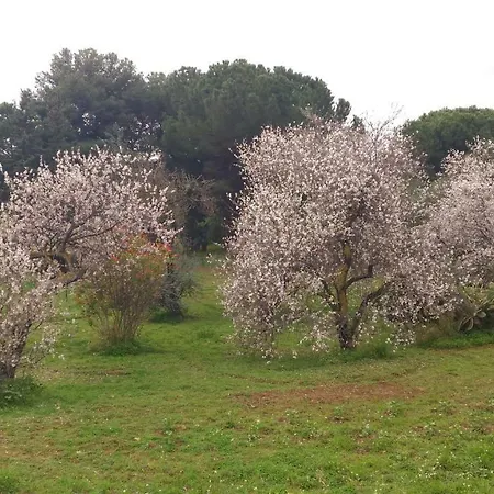 Bed & Breakfast Pirandello - Margherita 2*